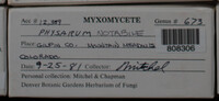 Image Associated With the Occurence